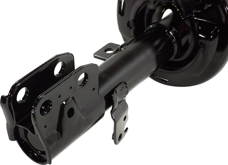 Loaded Struts-Front
