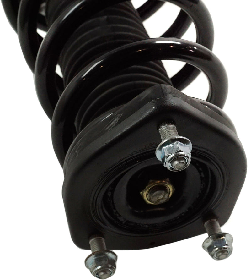 Loaded Strut-Rear Driver and Passenger Side