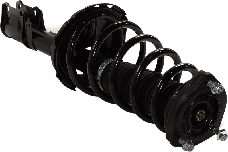 Loaded Strut-Rear Driver and Passenger Side