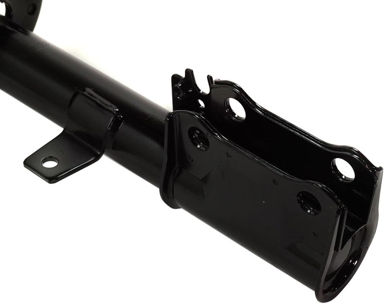Loaded Strut-Rear Driver and Passenger Side