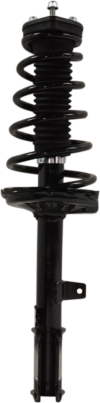 Loaded Strut-Rear Driver and Passenger Side