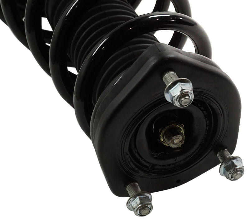 Loaded Strut-Rear Driver and Passenger Side