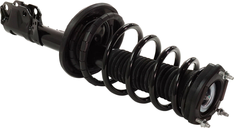 Strut Assembly Rear Passenger & Driver Side