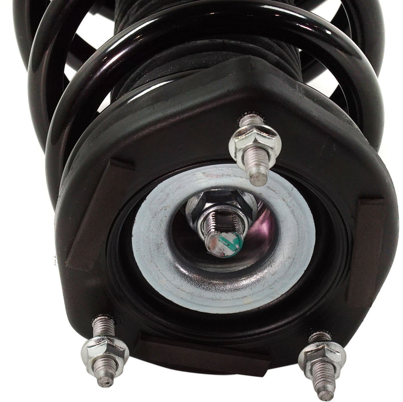 Strut Assembly Rear Passenger & Driver Side