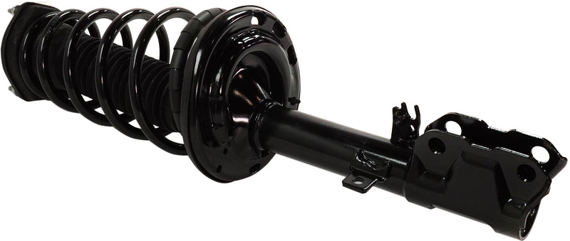 Strut Assembly Rear Passenger & Driver Side