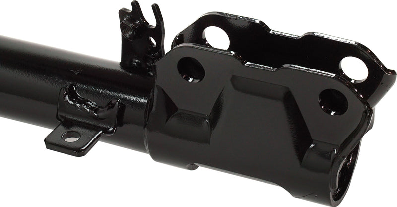 Strut Assembly Rear Passenger & Driver Side