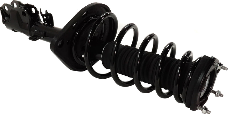 Strut Assembly Rear Passenger & Driver Side
