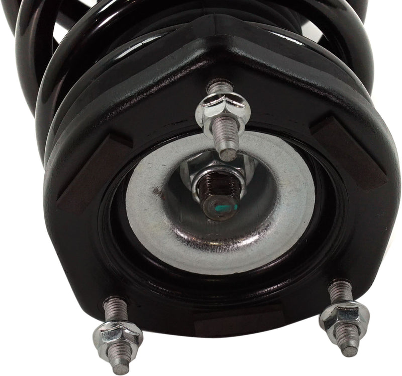 Strut Assembly Rear Passenger & Driver Side