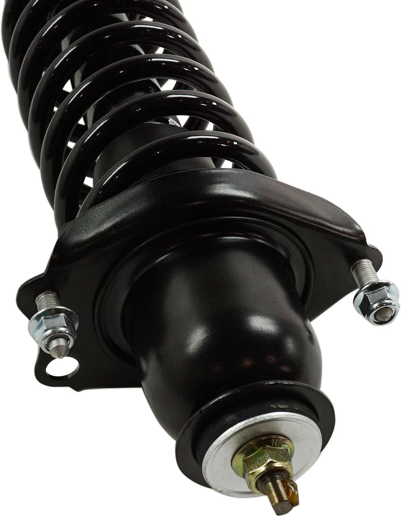 Loaded Strut-Rear