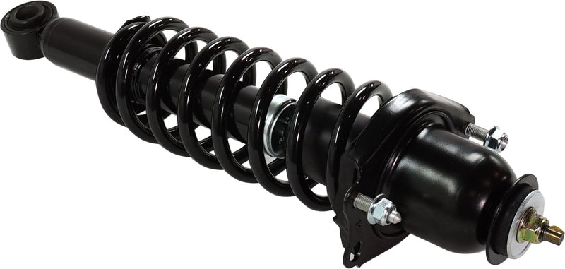Loaded Strut-Rear