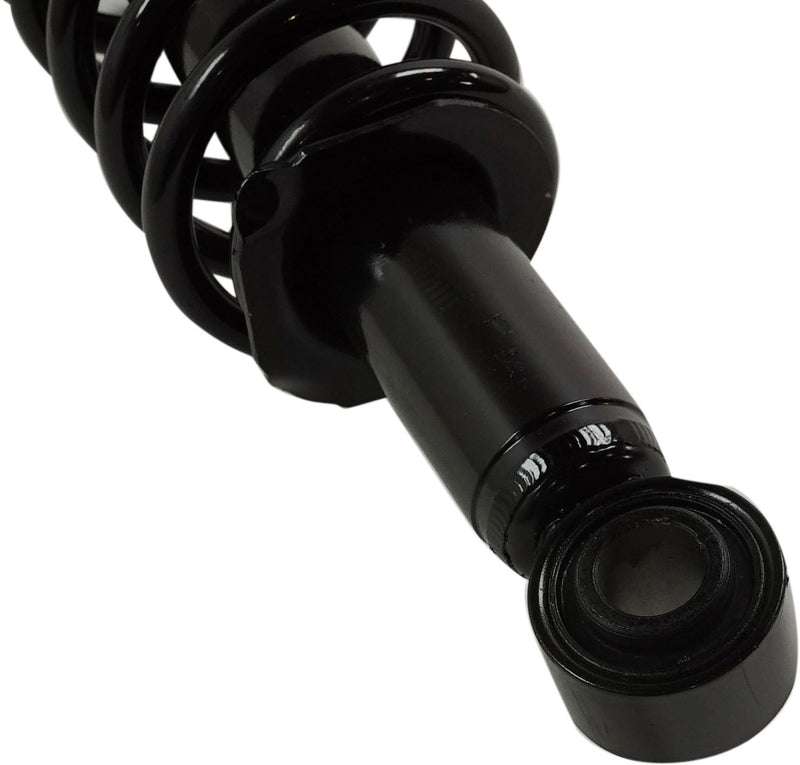 Loaded Strut-Rear