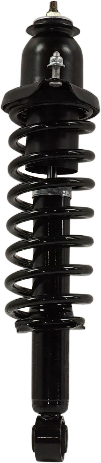 Loaded Strut-Rear
