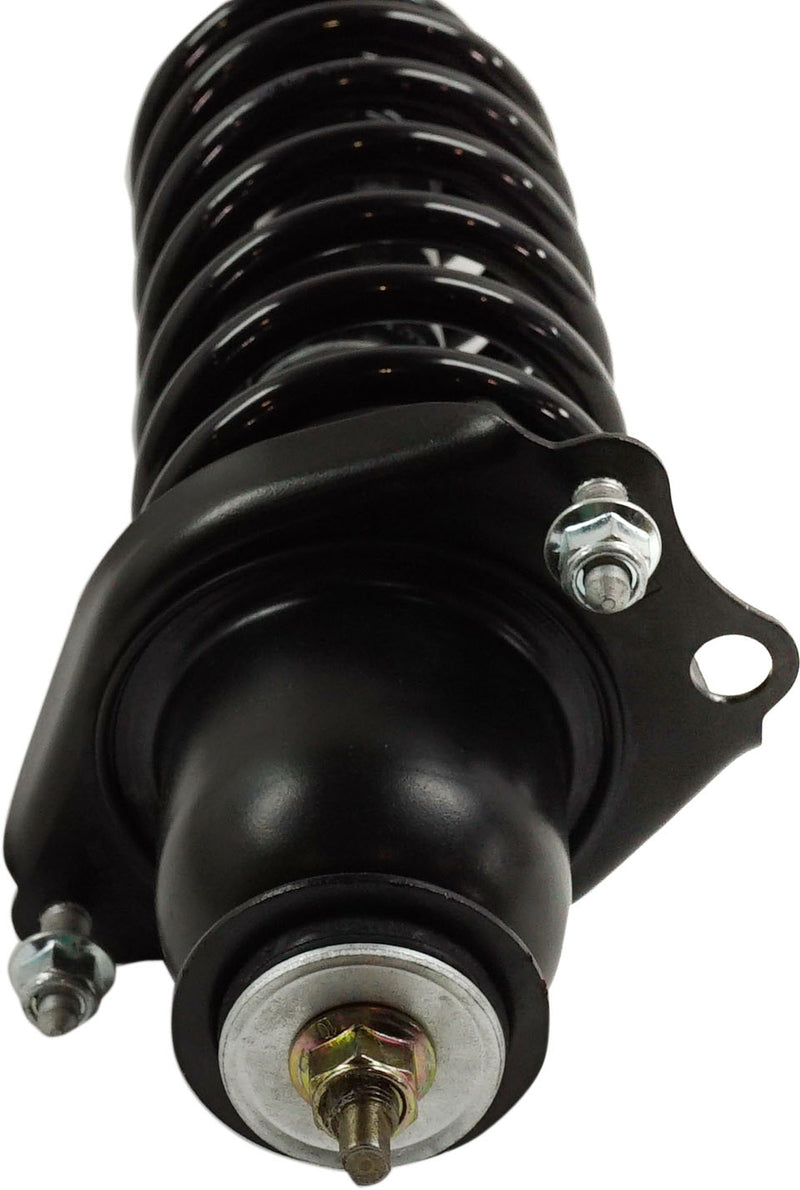 Loaded Strut-Rear