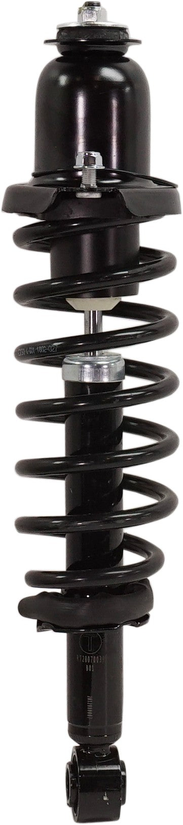 Loaded Strut-Rear Driver and Passenger Side