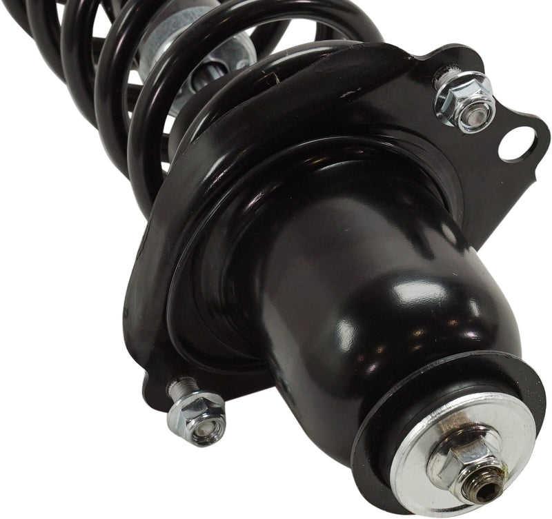 Loaded Strut-Rear Driver and Passenger Side
