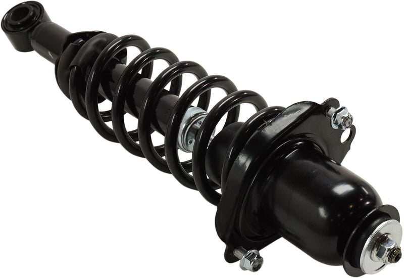 Loaded Strut-Rear Driver and Passenger Side