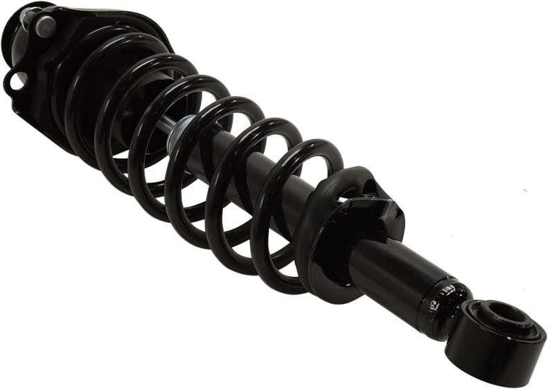 Loaded Strut-Rear Driver and Passenger Side