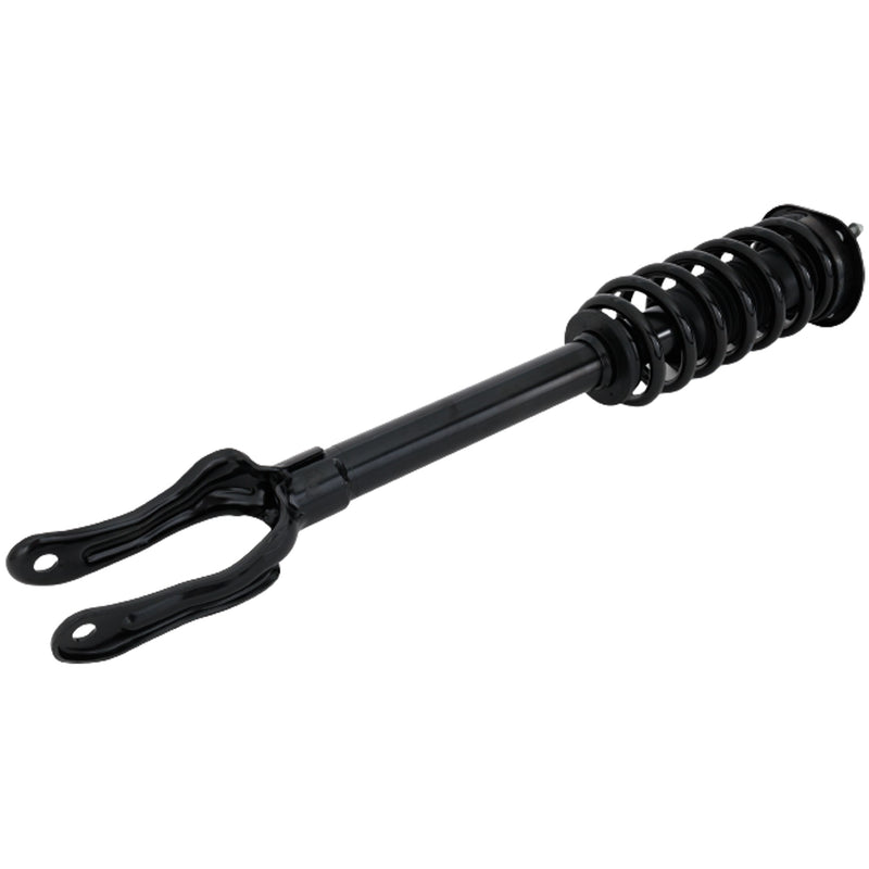 Loaded Strut - Front Passenger Side
