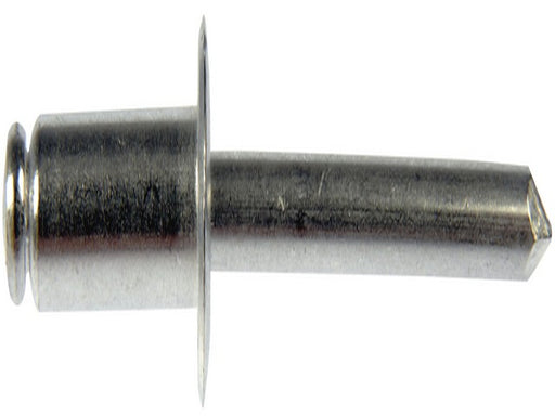 Steel Rivet Assortment Dorman-AutoGrade 961-015