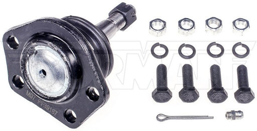 Suspension Ball Joint Dorman-OE Solutions 533-179