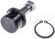 Suspension Ball Joint Dorman-OE Solutions 533-221