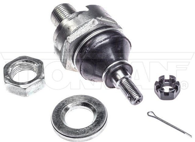 Alignment Caster / Camber Ball Joint Dorman-OE Solutions 533-283