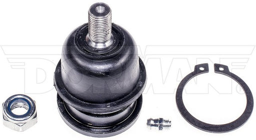 Suspension Ball Joint Dorman-OE Solutions 533-346