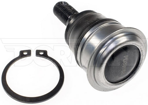 Suspension Ball Joint Dorman-OE Solutions 533-382