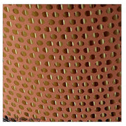 Engine Air Filter Beck Arnley 042-0497