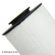 Fuel Filter Beck Arnley 043-0074