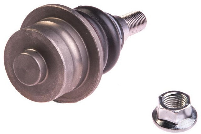 Suspension Ball Joint Dorman-OE Solutions 538-237