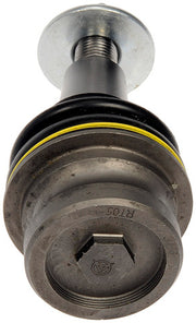 Suspension Ball Joint Dorman-OE Solutions 538-238