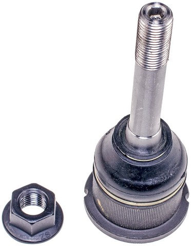 Suspension Ball Joint Dorman-OE Solutions 538-239