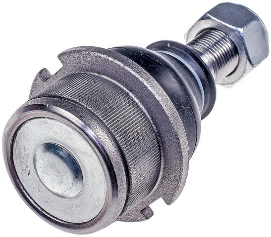 Suspension Ball Joint Dorman-OE Solutions 538-815