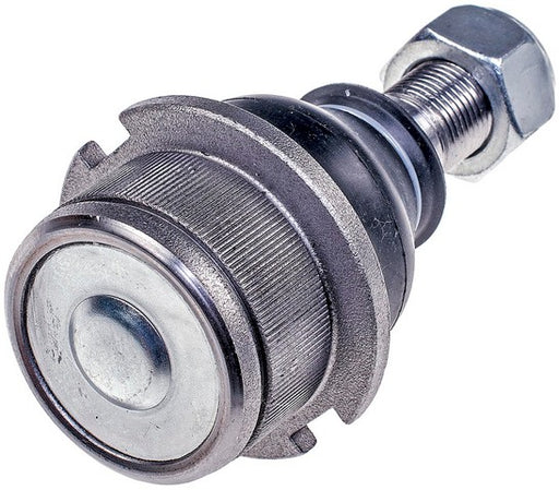 Suspension Ball Joint Dorman-OE Solutions 538-815