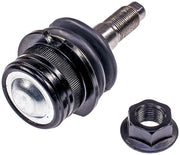 Suspension Ball Joint Dorman-OE Solutions 538-818