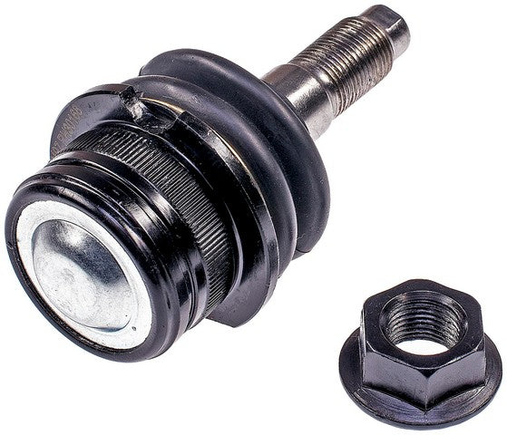 Suspension Ball Joint Dorman-OE Solutions 538-818