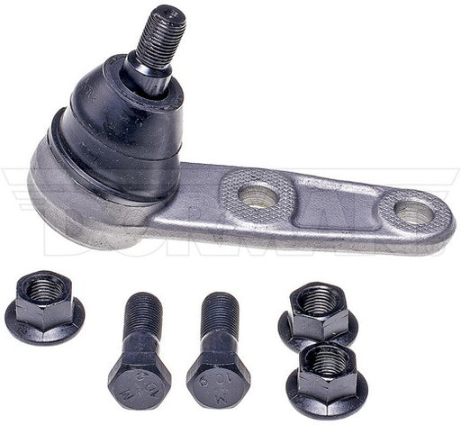 Suspension Ball Joint Dorman-OE Solutions 539-737