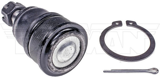 Suspension Ball Joint Dorman-OE Solutions 539-764