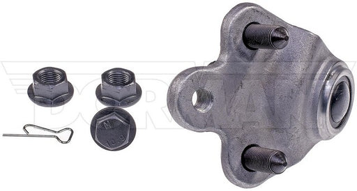 Suspension Ball Joint Dorman-OE Solutions 539-772