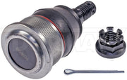 Suspension Ball Joint Dorman-OE Solutions 539-774