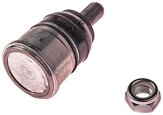 Suspension Ball Joint Dorman-OE Solutions 539-778