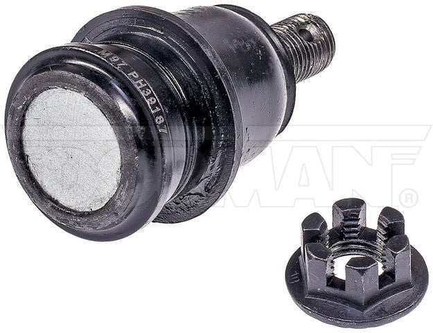 Suspension Ball Joint Dorman-OE Solutions 539-779