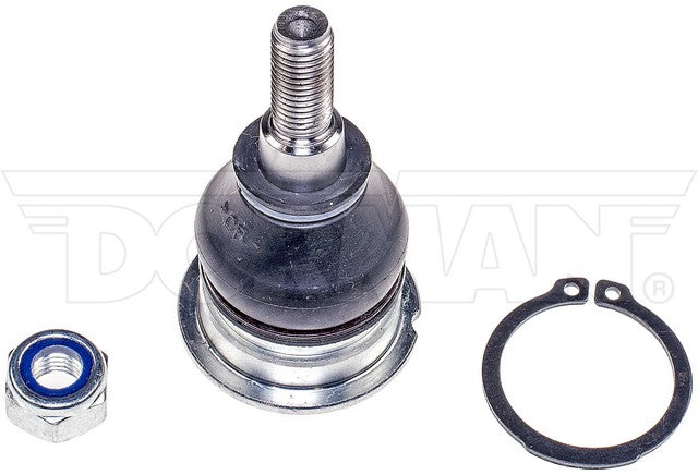 Suspension Ball Joint Dorman-OE Solutions 539-789