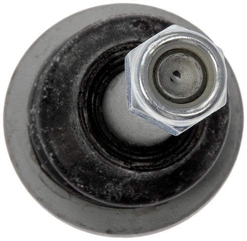 Suspension Ball Joint Dorman-OE Solutions 539-800