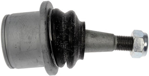 Suspension Ball Joint Dorman-OE Solutions 539-800