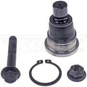 Suspension Ball Joint Dorman-OE Solutions 539-881