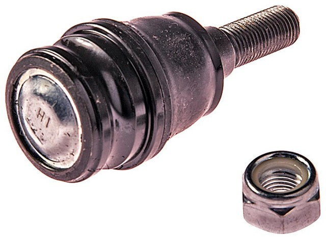 Suspension Ball Joint Dorman-OE Solutions 539-897