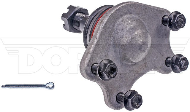 Suspension Ball Joint Dorman-OE Solutions 539-908