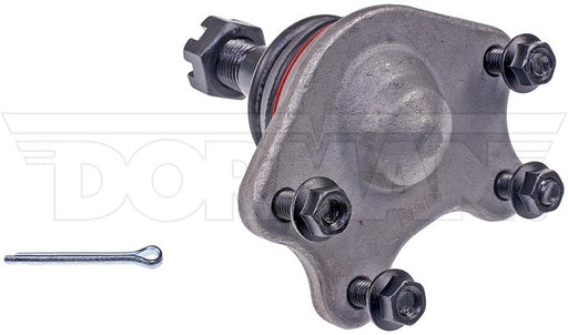 Suspension Ball Joint Dorman-OE Solutions 539-908